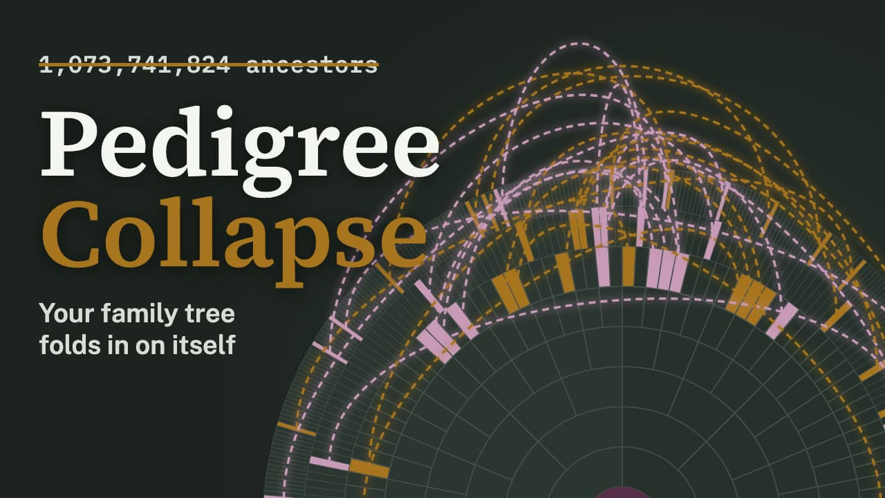 Title card reading “Pedigree Collapse” over a fan chart of ancestors whose slots are joined by glowing arcs; “1,073,741,824 ancestors” is struck through.